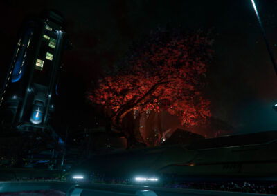Garden at night on Crusader