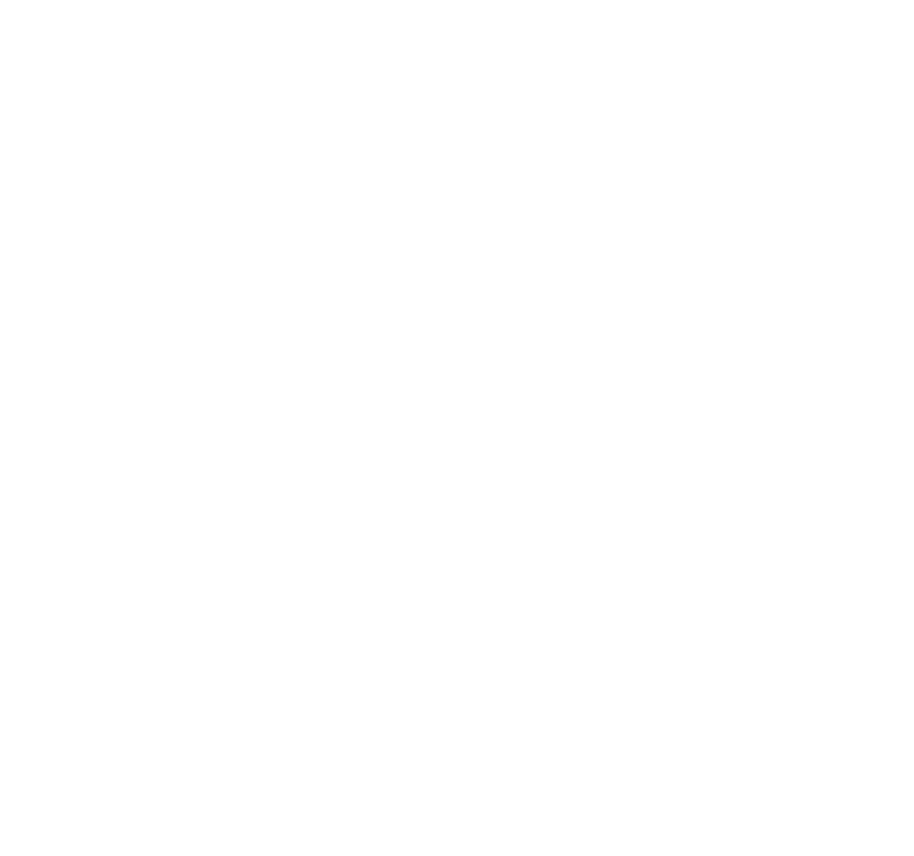 starfighter-on-logo Fenix Logo